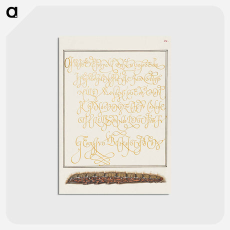 アートポストカード-Larva of an Oak Egger Moth from Mira Calligraphiae Monumenta
 - 書道のお手本 Postcard.