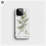 2-55_Treatise-on-Trees-and-Shrubs_phone