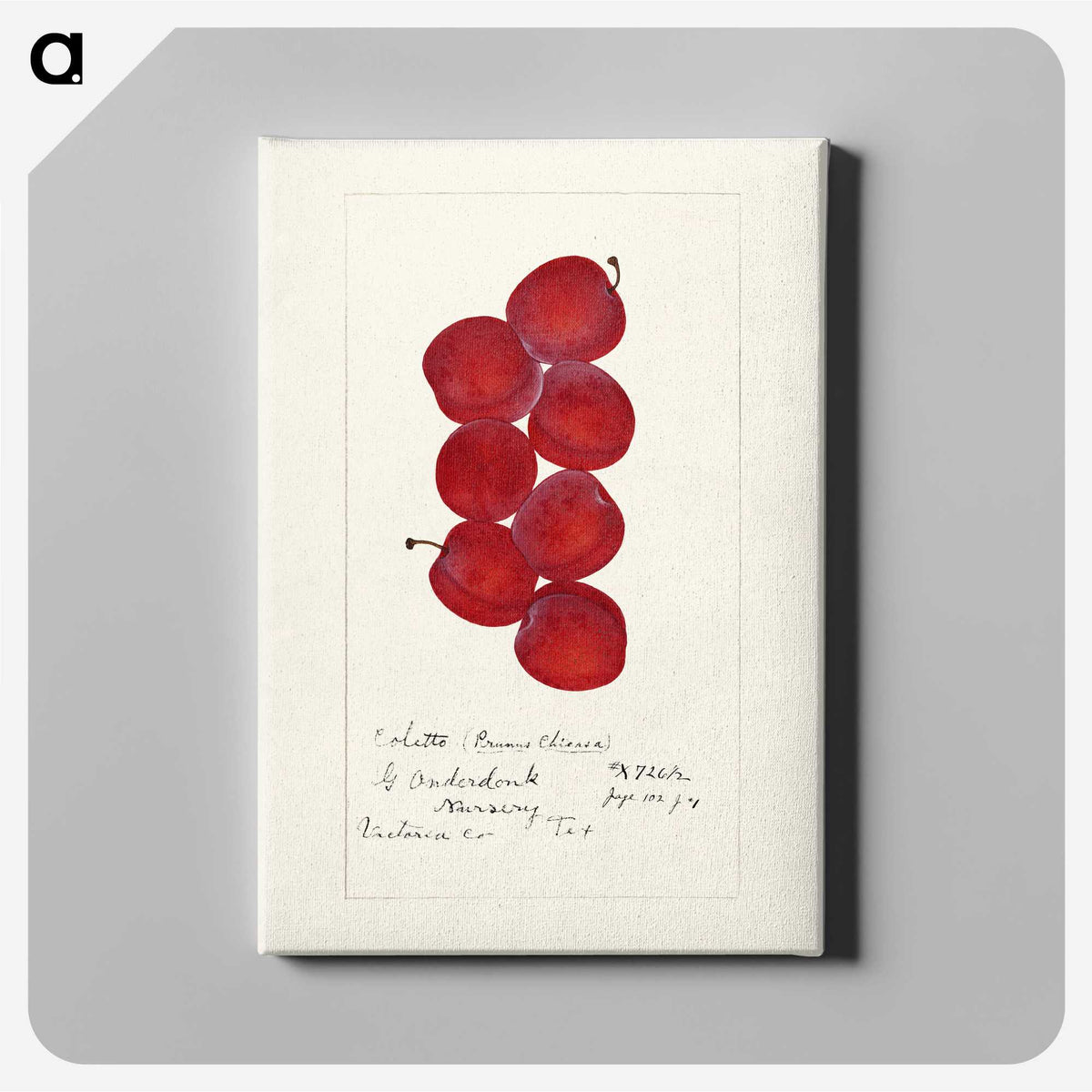 2-55_USDA-Watercolor-Fruit-Painting-Collection_canvas