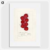 2-55_USDA-Watercolor-Fruit-Painting-Collection_picture