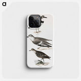 Wilson's Plover - ニューヨークの動物学 Phone Case.