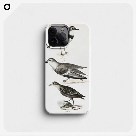 2-55_Zoology-of-New-York_phone