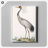 European crane - アンセルムス ボエティウス デ ブート Canvas.