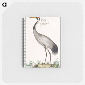 アートメモ帳-European crane - アンセルムス ボエティウス デ ブート Memo.