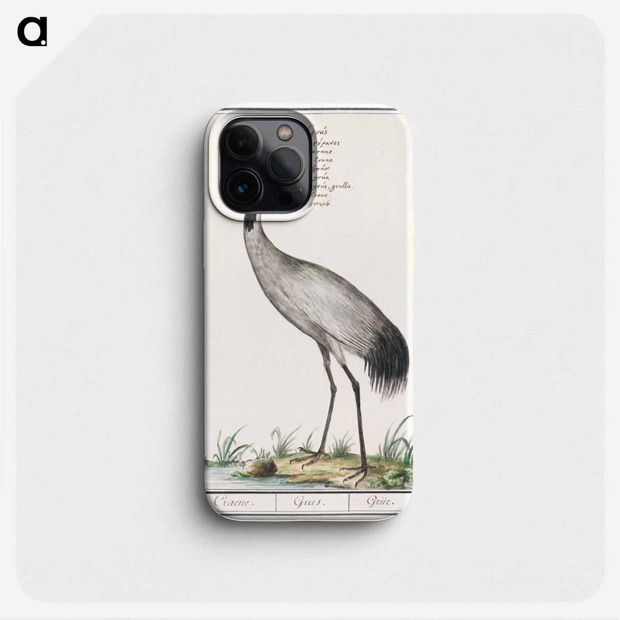 European crane - アンセルムス ボエティウス デ ブート Phone Case.