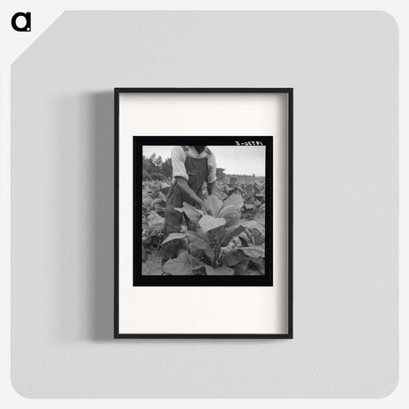 2-56_Dorothea-Lange_blk