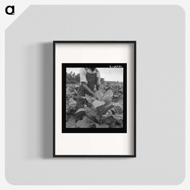 2-56_Dorothea-Lange_blk