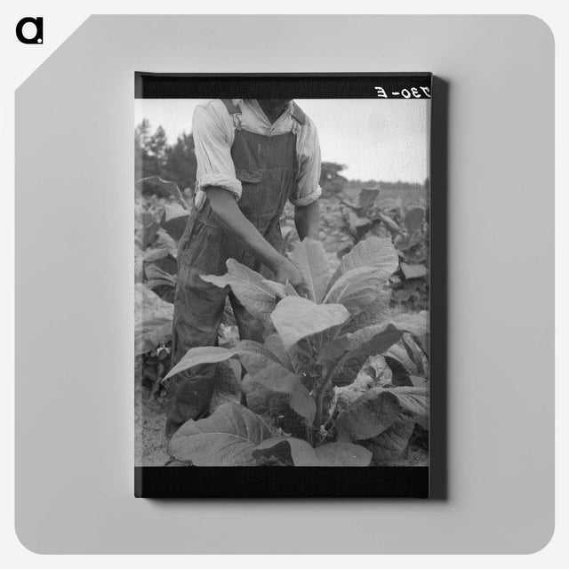 2-56_Dorothea-Lange_canvas