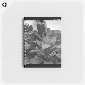 アートメモ帳-tenant topping tobacco - ドロテア ラング Memo.