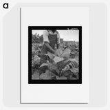 2-56_Dorothea-Lange_picture