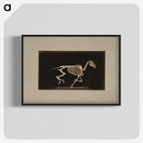 2-56_Eadweard-Muybridge_blk-crop
