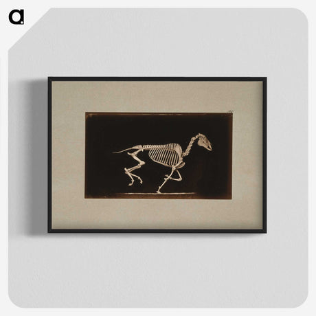2-56_Eadweard-Muybridge_blk-crop