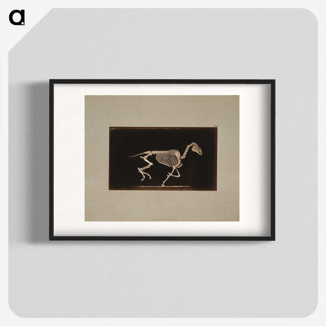 2-56_Eadweard-Muybridge_blk
