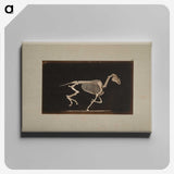 2-56_Eadweard-Muybridge_canvas