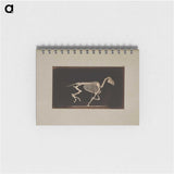 2-56_Eadweard-Muybridge_memo