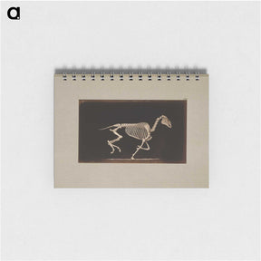 2-56_Eadweard-Muybridge_memo