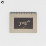 アートメモ帳-Running Horse Skeleton
 - エドワード マイブリッジ Memo.