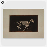 2-56_Eadweard-Muybridge_picture-crop