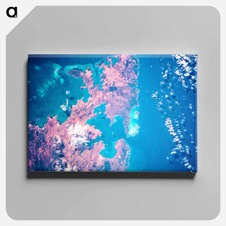 アートパネル-Indian Ocean from Space Shuttle Columbia
 - 上空からの地球 Canvas.