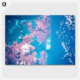 2-56_Earth-from-Above_picture-crop