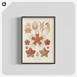 2-56_Ernst-Haeckel_blk-crop
