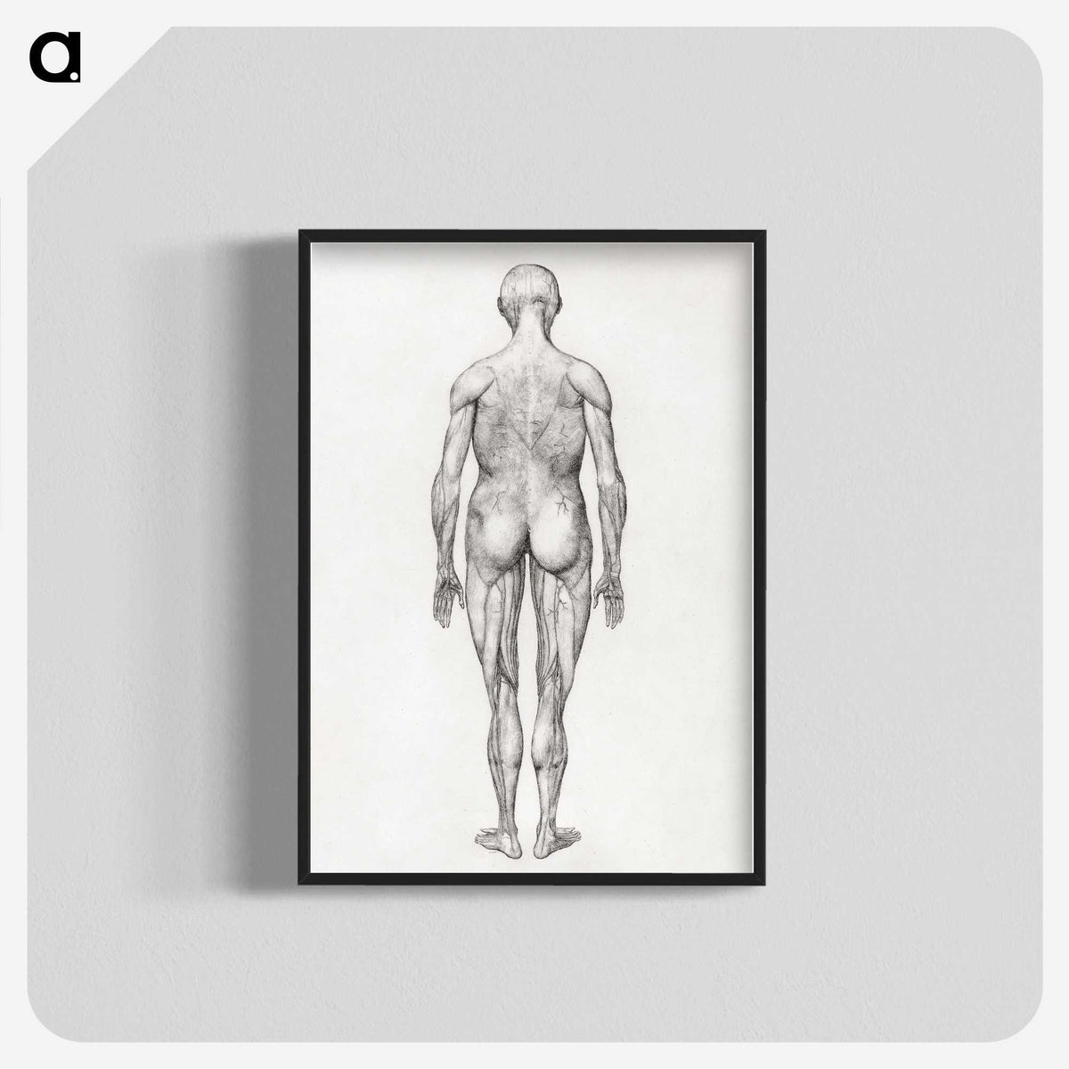 2-56_George-Stubbs_blk-crop