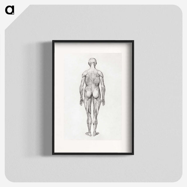 2-56_George-Stubbs_blk