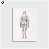 アートポストカード-Human Figure, Posterior View
 - ジョージ スタッブス Postcard.