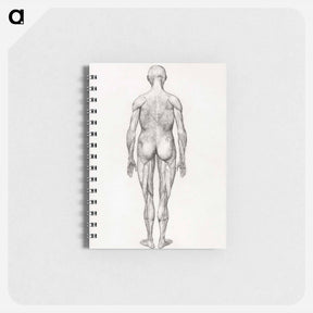 アートメモ帳-Human Figure, Posterior View
 - ジョージ スタッブス Memo.
