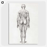 2-56_George-Stubbs_picture-crop