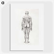 2-56_George-Stubbs_picture