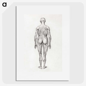 2-56_George-Stubbs_picture