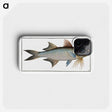 2-56_Ichtyologie-ou-Histoire-naturelle_phone