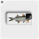 2-56_Ichtyologie-ou-Histoire-naturelle_phone