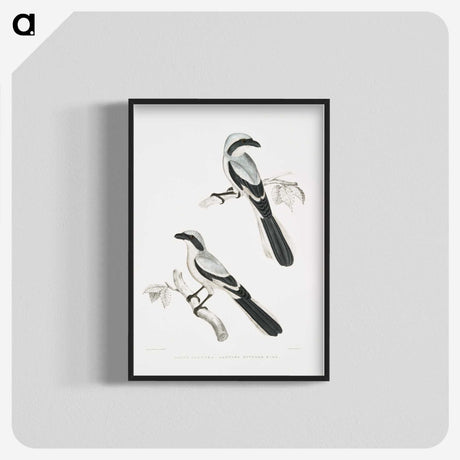 2-56_Indian-Zoology_blk-crop