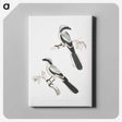 2-56_Indian-Zoology_canvas
