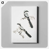 2-56_Indian-Zoology_canvas