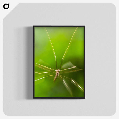 2-56_Insects-Unlocked-Project_blk-crop