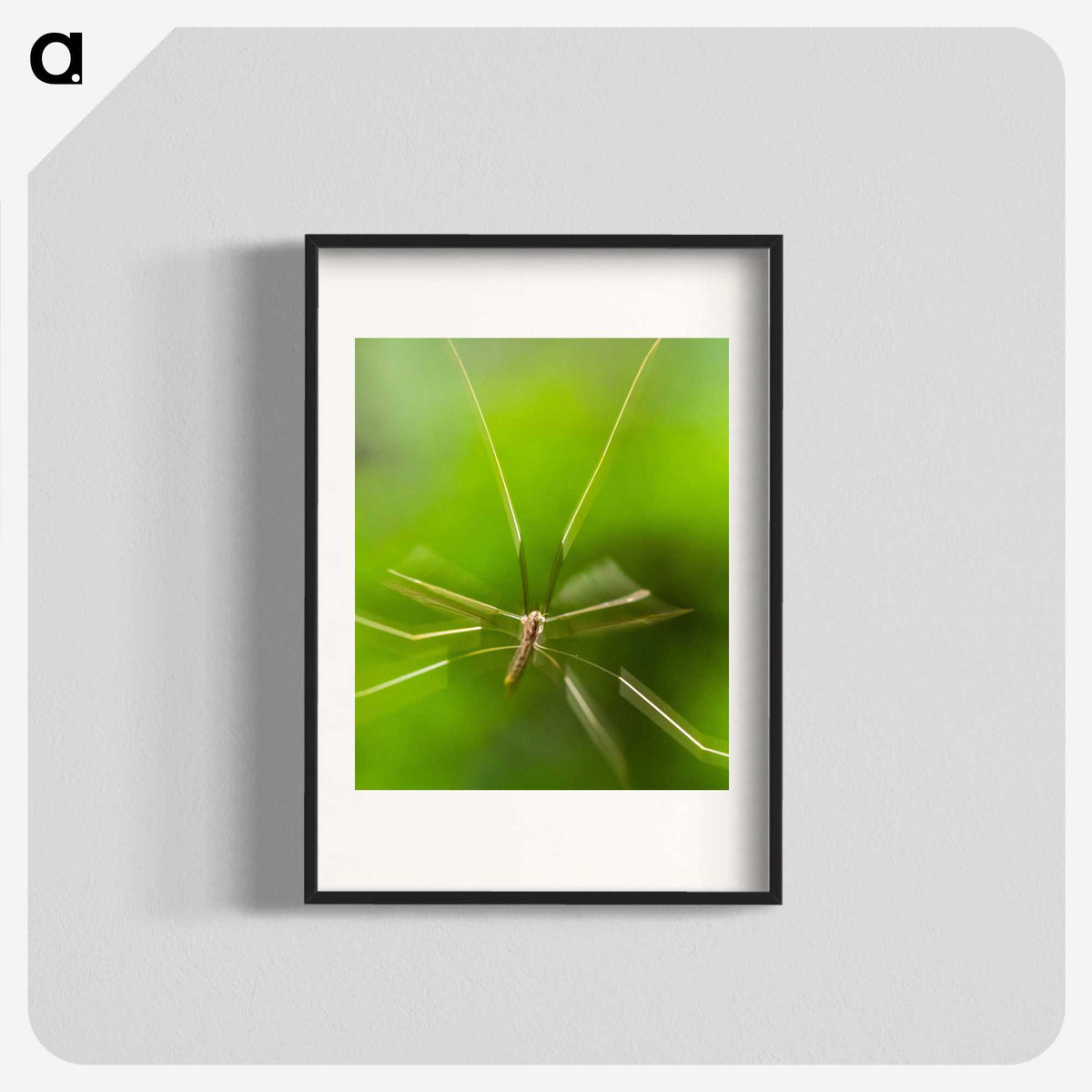 2-56_Insects-Unlocked-Project_blk