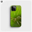 2-56_Insects-Unlocked-Project_phone