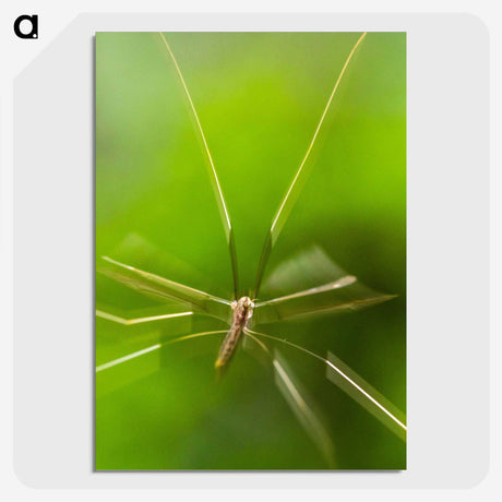 2-56_Insects-Unlocked-Project_picture-crop