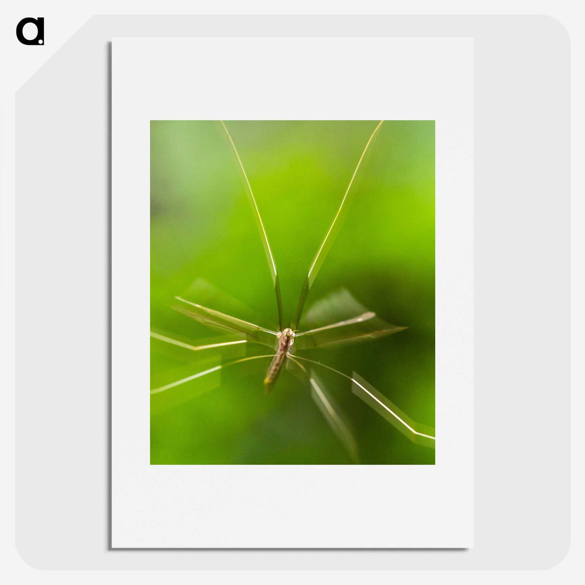 2-56_Insects-Unlocked-Project_picture