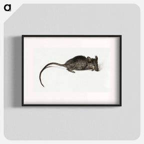 アートポスター-Mouse - ジャン ベルナール Poster.