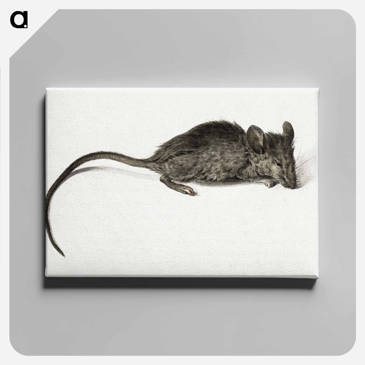 アートパネル-Mouse - ジャン ベルナール Canvas.
