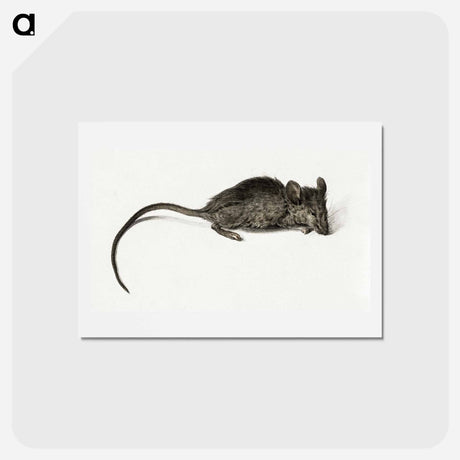 アートポストカード-Mouse - ジャン ベルナール Postcard.