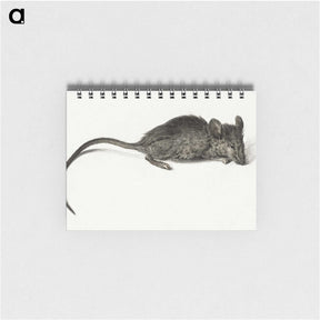 2-56_Jean-Bernard_memo