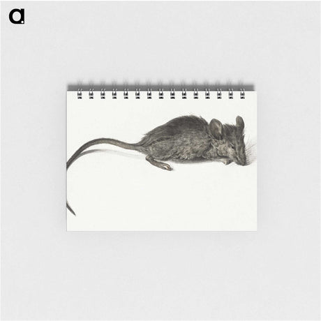 2-56_Jean-Bernard_memo