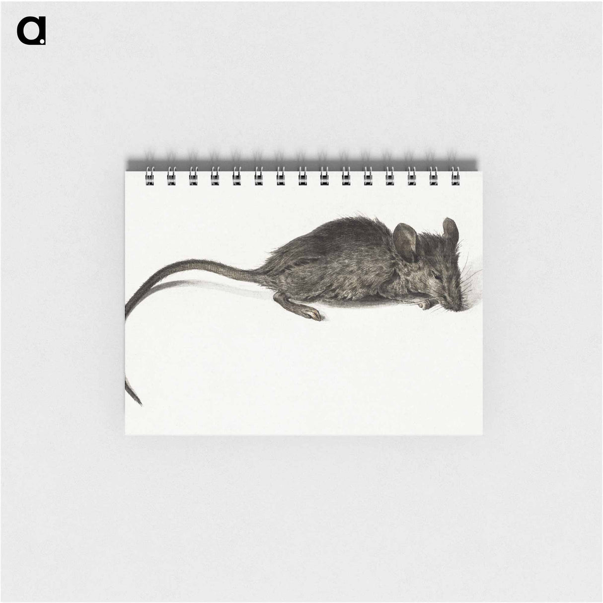 Mouse - ジャン ベルナール Memo.