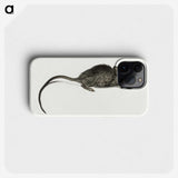 2-56_Jean-Bernard_phone