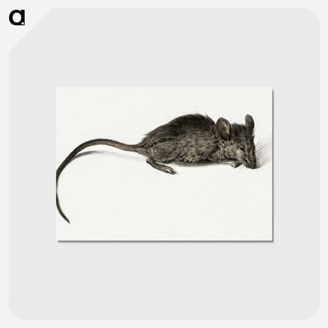 アートポストカード-Mouse - ジャン ベルナール Postcard.